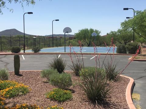 14590 E Circle L Ranch Pl, Vail, AZ 85641 photo 36