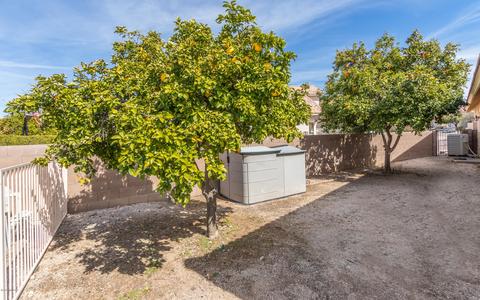 10101 E Axe Handle Ct, Tucson, AZ 85748 photo 31