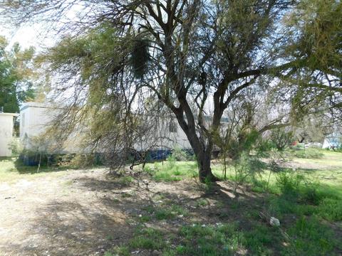 3320 E Lamb Dr, Tucson, AZ 85739 photo 33