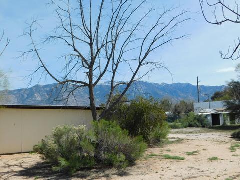 3320 E Lamb Dr, Tucson, AZ 85739 photo 31