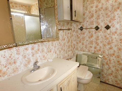 3320 E Lamb Dr, Tucson, AZ 85739 photo 20