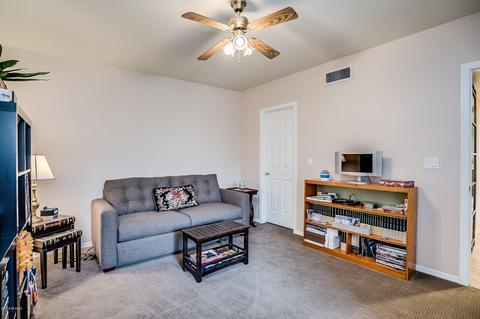 518 E Savannah St, Vail, AZ 85641 photo 26