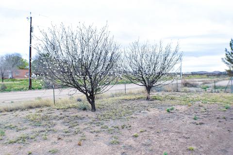 3596 E Deer Haven Ranch Rd, Pearce, AZ 85625 photo 24