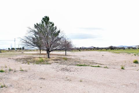 3596 E Deer Haven Ranch Rd, Pearce, AZ 85625 photo 28