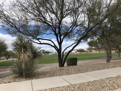 7047 S Red Maids Dr, Tucson, AZ 85756 photo 25