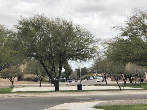 7047 S Red Maids Dr, Tucson, AZ 85756 photo 20