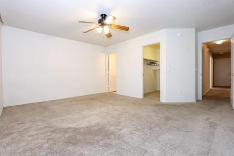 8074 S Teaberry Ave, Tucson, AZ 85747 photo 18