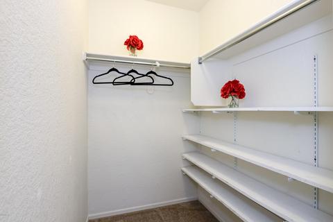 8074 S Teaberry Ave, Tucson, AZ 85747 photo 26