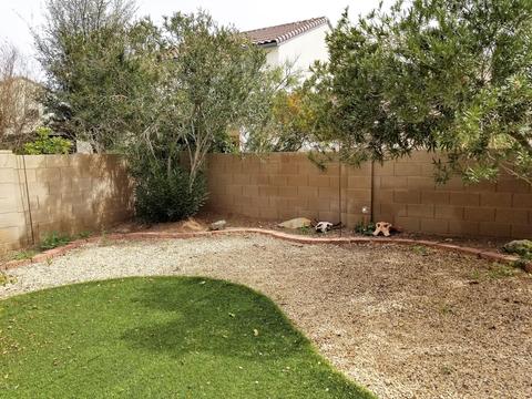 10442 E Painted Turtle Ln, Tucson, AZ 85747 photo 29