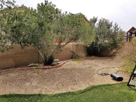 10442 E Painted Turtle Ln, Tucson, AZ 85747 photo 28