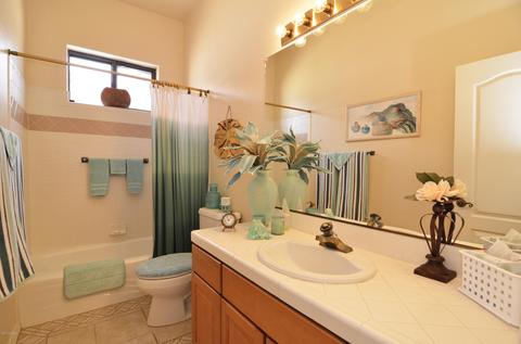 151 E Silverstone Pl, Tucson, AZ 85737 photo 15