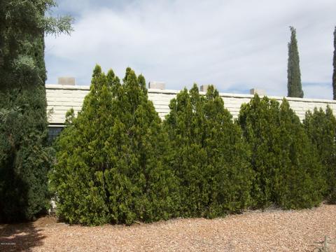 1202 E Klassen Ct, Pearce, AZ 85625 photo 3
