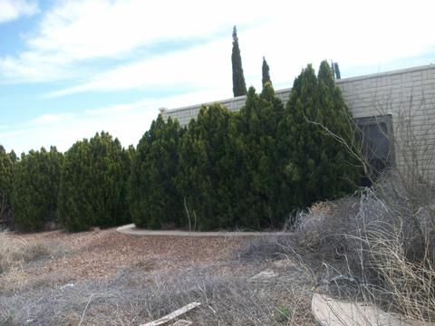 1202 E Klassen Ct, Pearce, AZ 85625 photo 6