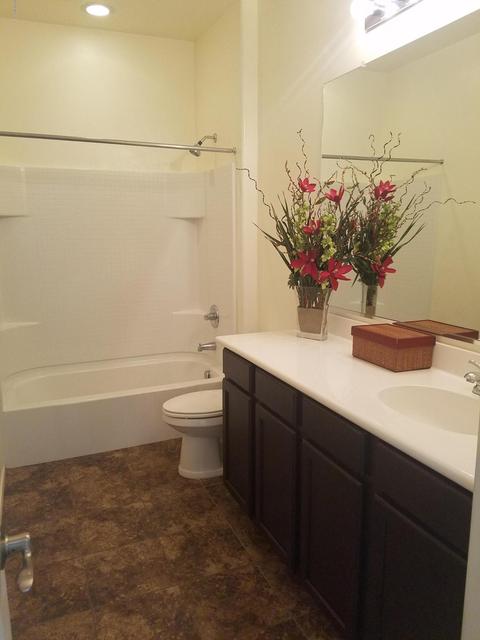 145 E Sycamore View Rd, Vail, AZ 85641 photo 22