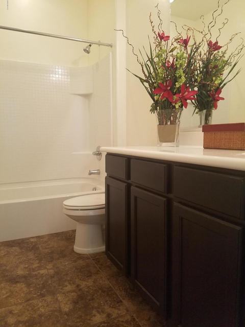 145 E Sycamore View Rd, Vail, AZ 85641 photo 23