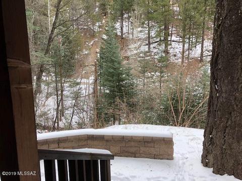 10980 E Turkey Run Rd, Mount Lemmon, AZ 85619 photo 22