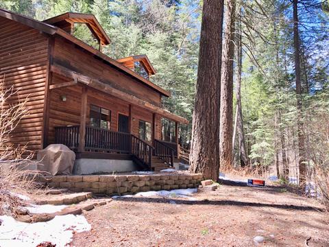 10980 E Turkey Run Rd, Mount Lemmon, AZ 85619 photo 1