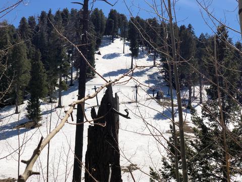 10980 E Turkey Run Rd, Mount Lemmon, AZ 85619 photo 30