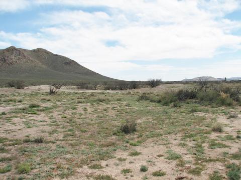 9959 S Sunray Rd, Willcox, AZ 85643 photo 31