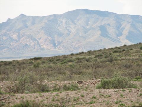 9959 S Sunray Rd, Willcox, AZ 85643 photo 44