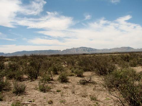 9959 S Sunray Rd, Willcox, AZ 85643 photo 27