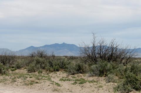 9959 S Sunray Rd, Willcox, AZ 85643 photo 26