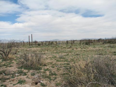 9959 S Sunray Rd, Willcox, AZ 85643 photo 30