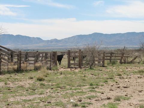 9959 S Sunray Rd, Willcox, AZ 85643 photo 20