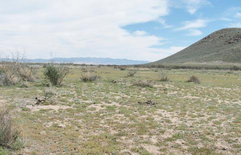 9959 S Sunray Rd, Willcox, AZ 85643 photo 35