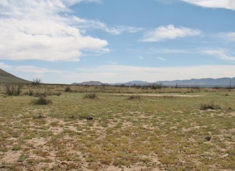 9959 S Sunray Rd, Willcox, AZ 85643 photo 33
