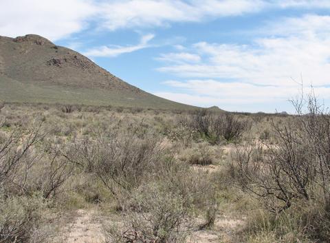 9959 S Sunray Rd, Willcox, AZ 85643 photo 24
