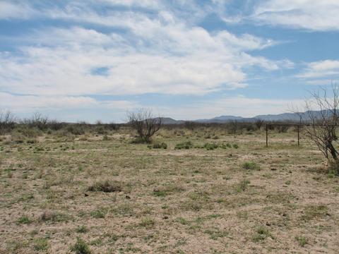 9959 S Sunray Rd, Willcox, AZ 85643 photo 23