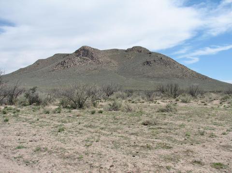 9959 S Sunray Rd, Willcox, AZ 85643 photo 21