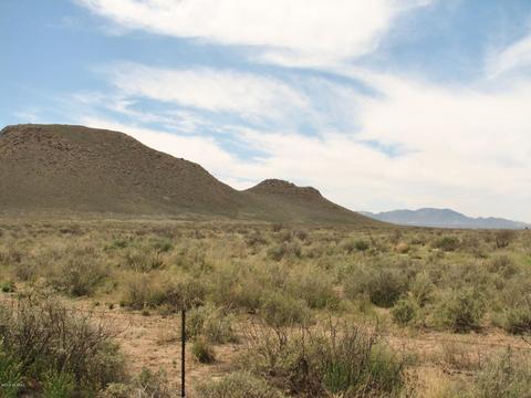 9959 S Sunray Rd, Willcox, AZ 85643 photo 41