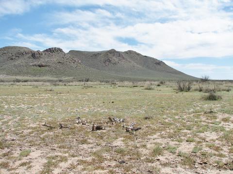 9959 S Sunray Rd, Willcox, AZ 85643 photo 34