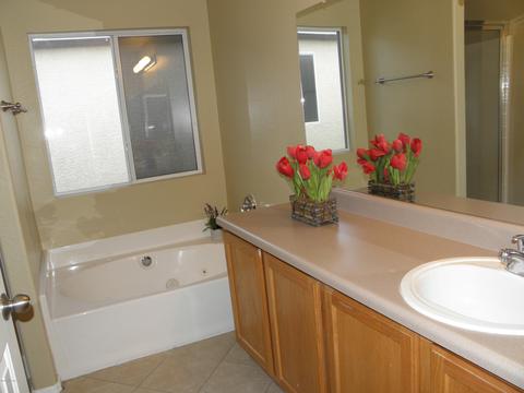 10173 E Rincon Shadows Dr, Tucson, AZ 85748 photo 12