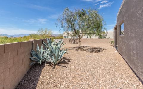 10740 S Wrong Peak Pl, Vail, AZ 85641 photo 21