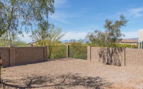 10740 S Wrong Peak Pl, Vail, AZ 85641 photo 23