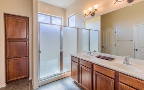 10740 S Wrong Peak Pl, Vail, AZ 85641 photo 14