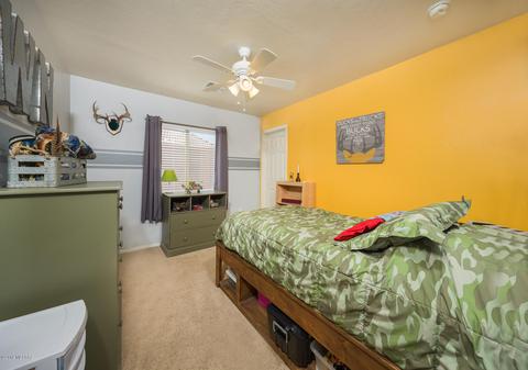 12687 E Red Iron Trl, Vail, AZ 85641 photo 14