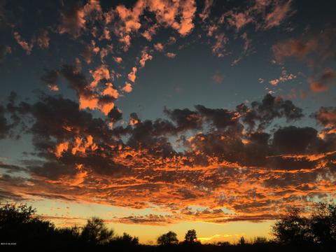 6425 E Red Cloud Dr, Tucson, AZ 85750 photo 19