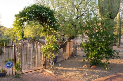 6425 E Red Cloud Dr, Tucson, AZ 85750 photo 21