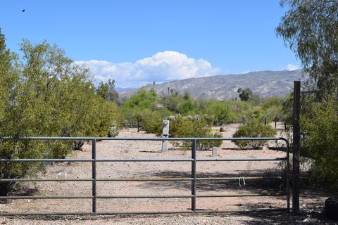 13335 E Garigans Gulch, Vail, AZ 85641 photo 4
