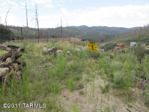 11060 E Flicker Ln, Mount Lemmon, AZ 85619 photo 2