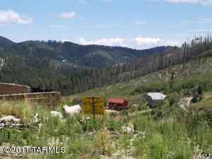 11060 E Flicker Ln, Mount Lemmon, AZ 85619 photo 7
