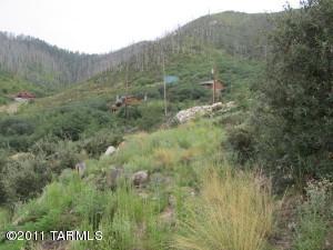 11060 E Flicker Ln, Mount Lemmon, AZ 85619 photo 4