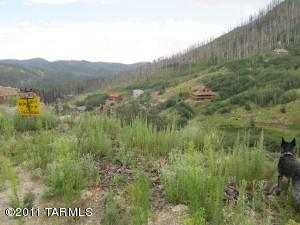 11060 E Flicker Ln, Mount Lemmon, AZ 85619 photo 5