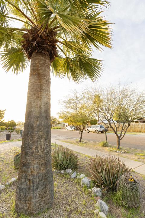 2020 E 33rd St, Tucson, AZ 85713 photo 10