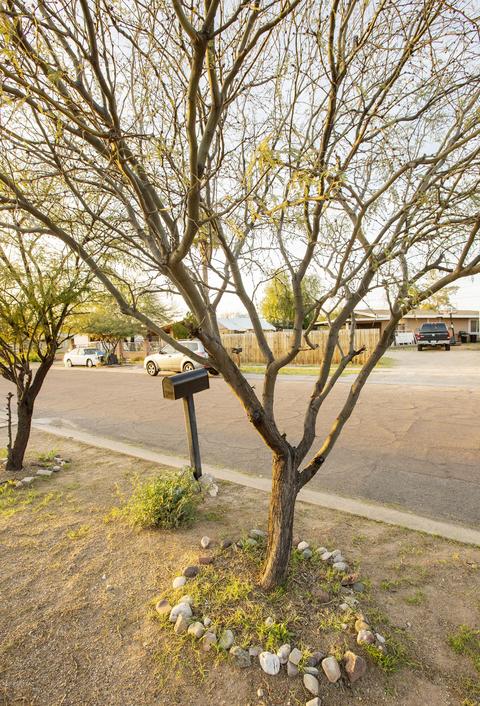 2020 E 33rd St, Tucson, AZ 85713 photo 11