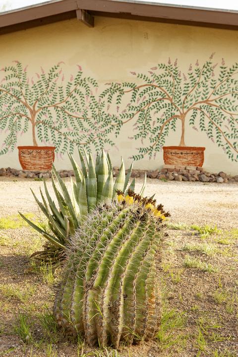 2020 E 33rd St, Tucson, AZ 85713 photo 3